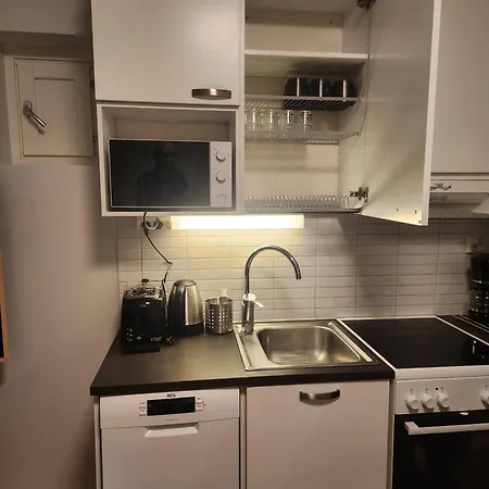 Viihtyisae Taeysin Kalustettu Ja Varustettu Yksioe Logomolla 1vrk-36kk Apartment *