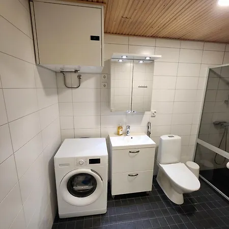 Apartamento Viihtyisae Korkealuokkainen, Tilava Ja Parvekkeellinen Yksioe Logomolla 1-2hloe