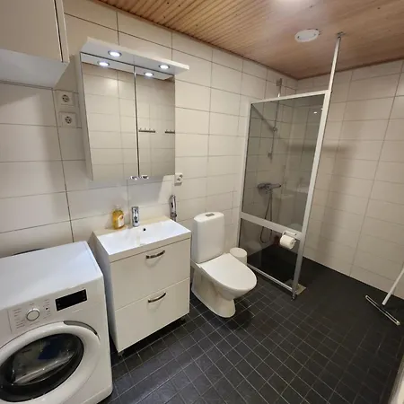 Viihtyisae Taeysin Kalustettu Ja Varustettu Yksioe Logomolla 1vrk-36kk Apartment Turku