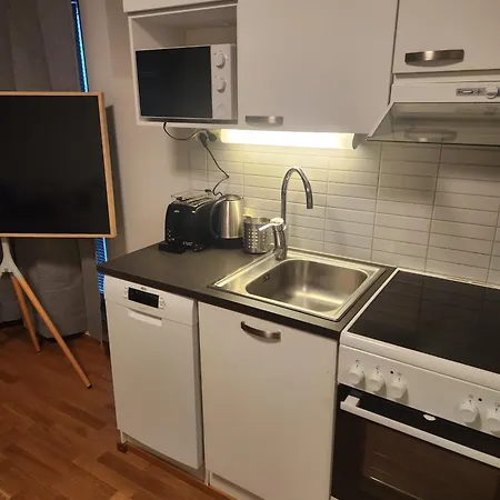 Viihtyisae Korkealuokkainen, Tilava Ja Parvekkeellinen Yksioe Logomolla 1-2hloe Apartamento