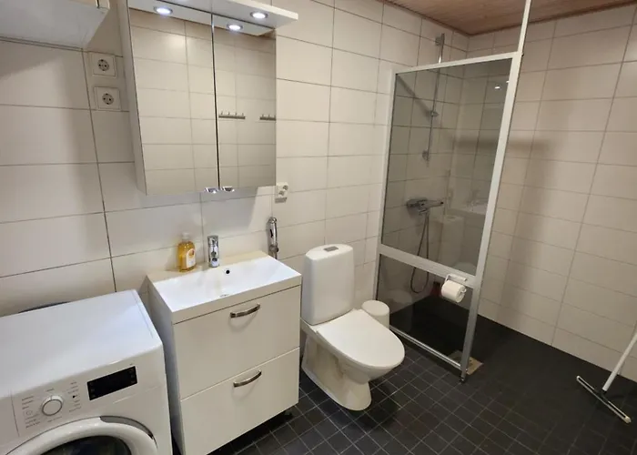 Viihtyisae Korkealuokkainen, Tilava Ja Parvekkeellinen Yksioe Logomolla 1-2hloe Apartamento Turku