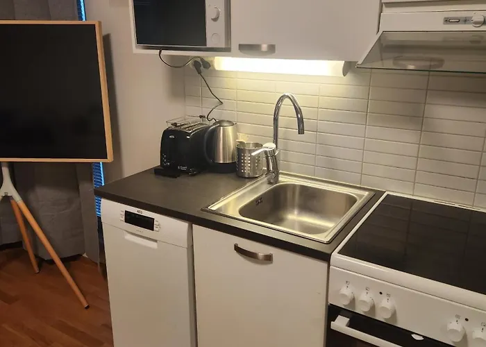 Viihtyisae Korkealuokkainen, Tilava Ja Parvekkeellinen Yksioe Logomolla 1-2hloe Apartamento